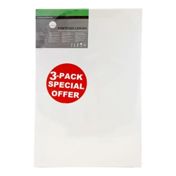 Image of Daler Rowney Simply Canvas Pack of 3 - 50 x 70cm / 20 x 28"