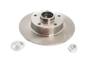 image of MASTER-SPORT Brake disc Rear Axle 2401080116B-PCS-MS Brake rotor,Brake discs RENAULT,MEGANE III Grandtour (KZ0/1),Megane III Schragheck (BZ0/1_)