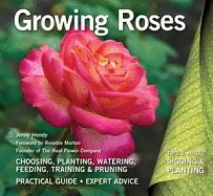 Image of growing roses plan plant and maintain