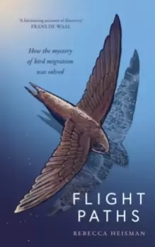 Image of Flight Paths : How the mystery of bird migration was solved