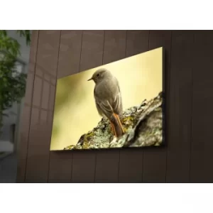 Image of 4570?ACT-65 Multicolor Decorative LED Lighted Canvas Painting