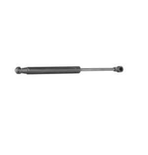 Image of RIDEX Tailgate strut SMART 219G0006 0000618V007000000,113000013,A0000618 A0000618V007000000