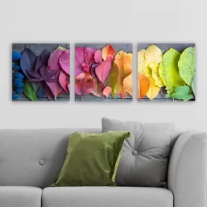 Image of P2253353 Multicolor Decorative Canvas Painting (3 Pieces)