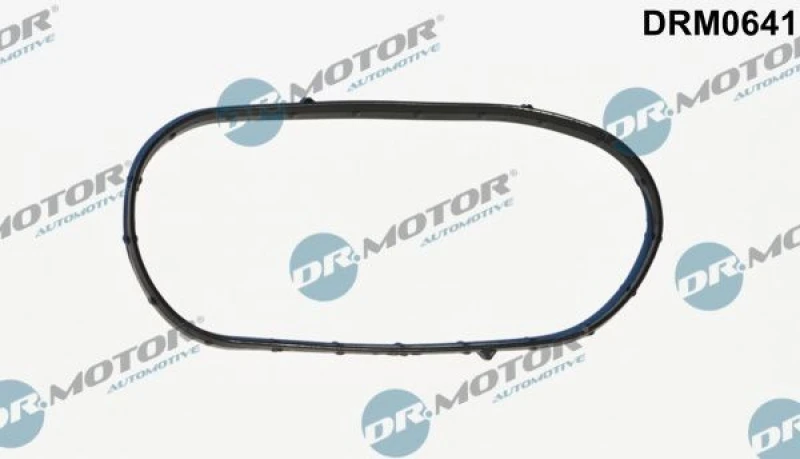 Image of DR.MOTOR AUTOMOTIVE Timing cover gasket DR.MOTOR AUTOMOTIVE DRM0641