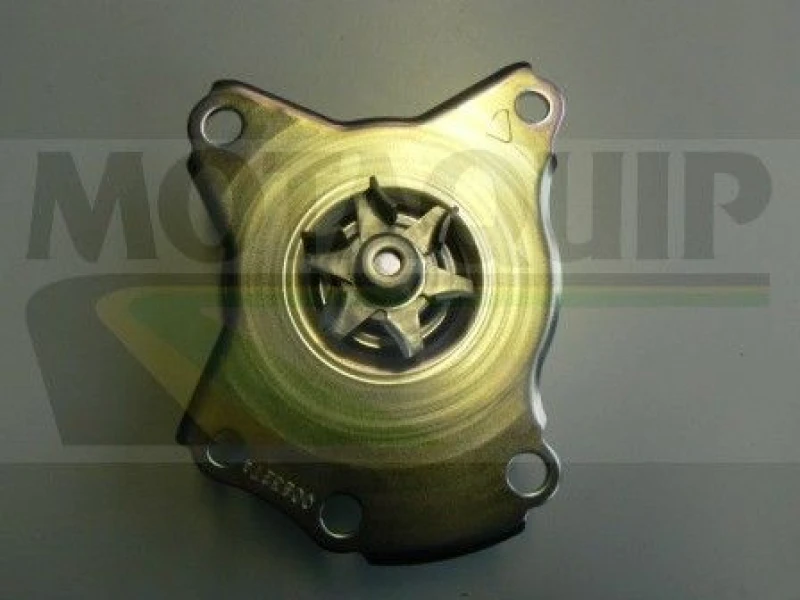 Image of MOTAQUIP Water pump MOTAQUIP VWP851