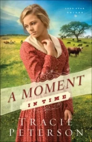 Image of A Moment in Time by Tracie Peterson