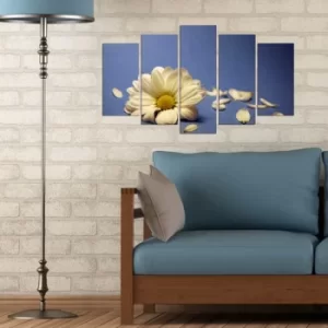 Image of 5MX-28 Multicolor Decorative MDF Painting (5 Pieces)