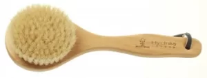 image of Hydrea London Classic Short Handled Body Brush with Natural Bristle (Medium Strength)