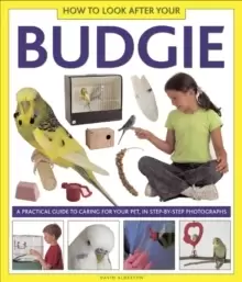 Image of How to Look After Your Budgie