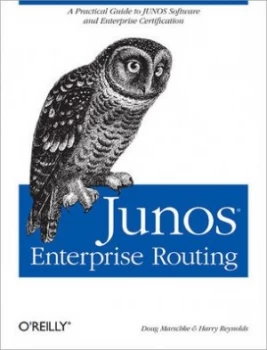 Image of Junos Enterprise Routing by Doug Marschke Book