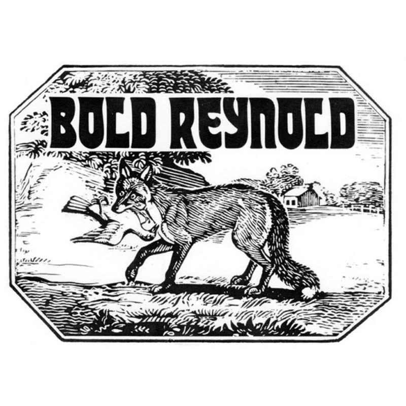Image of Bold Reynold CD / Album Digipak