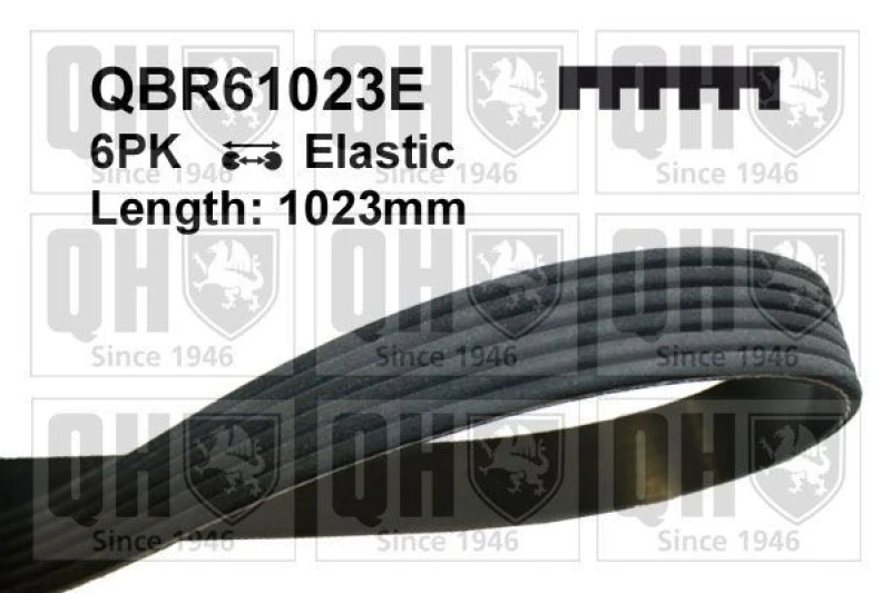 Image of QUINTON HAZELL Serpentine belt QUINTON HAZELL QBR61023E