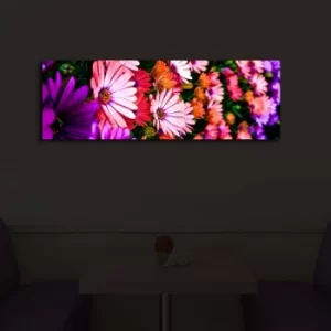 Image of 3090?ACT-43 Multicolor Decorative LED Lighted Canvas Painting