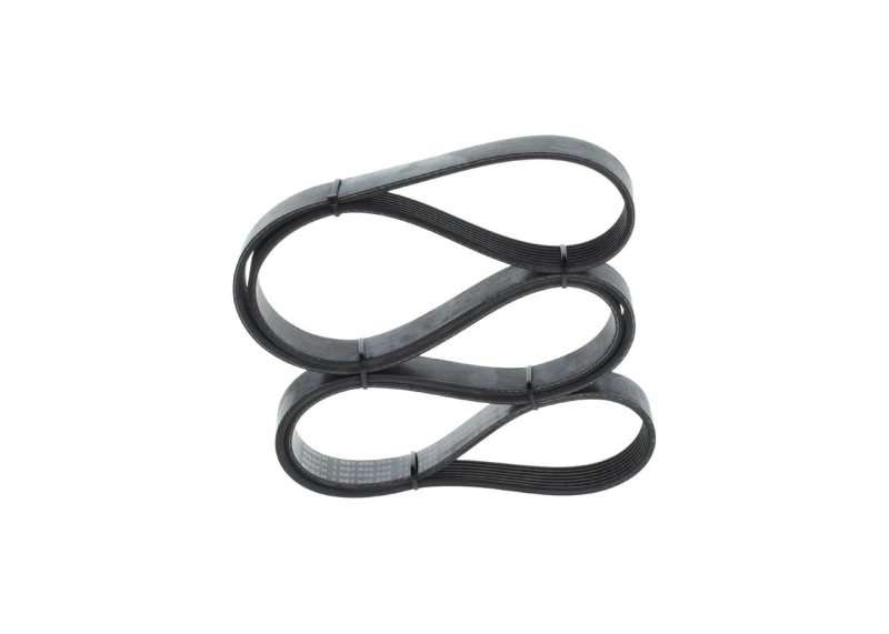 Image of Bosch 1 987 946 255 V-ribbed belt V-Ribbed Belts (305)