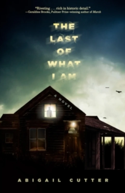 Image of The Last of What I Am : A Novel Paperback / softback