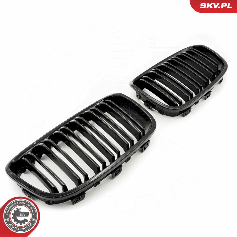 Image of ESEN SKV Radiator Grille ESEN SKV 66SKV016