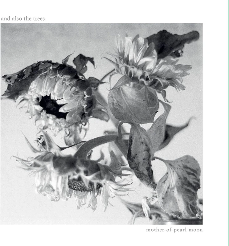 Image of Mother-of-pearl Moon CD / Album