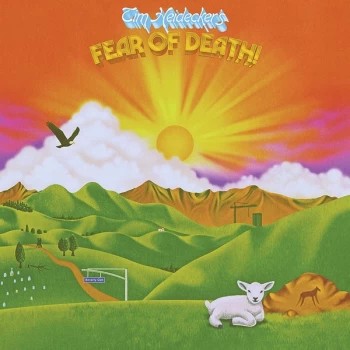 Image of Tim Heidecker - Fear Of Death CD