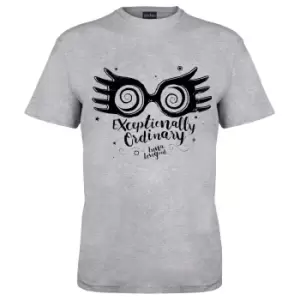 Image of Harry Potter Womens/Ladies Exceptionally Ordinary Boyfriend T-Shirt (3XL) (Grey Heather)
