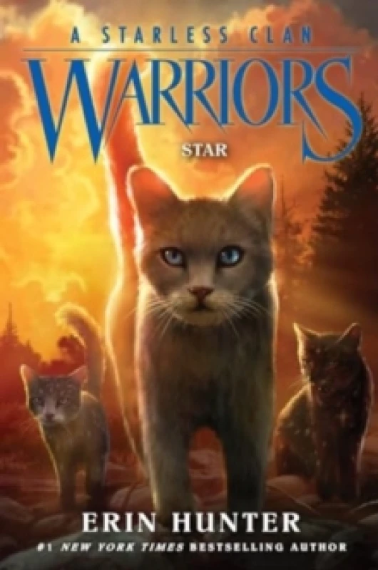 Image of Star - Erin Hunter - Hardback - Used