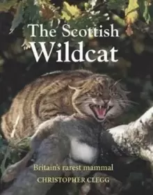 Image of The Scottish Wildcat : Britains most endangered mammal