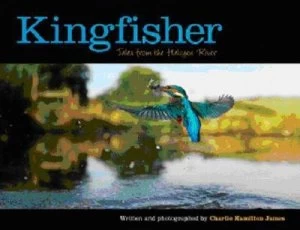 Image of Kingfisher by Charlie Hamilton James Hardback