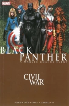 Image of Black Panther by Reginald Hudlin Paperback