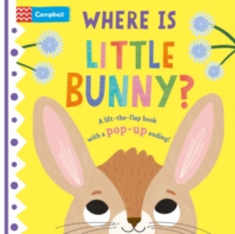 Image of Campbell Books Where is Little Bunny? Book Multi unisex