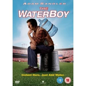 Image of Waterboy DVD