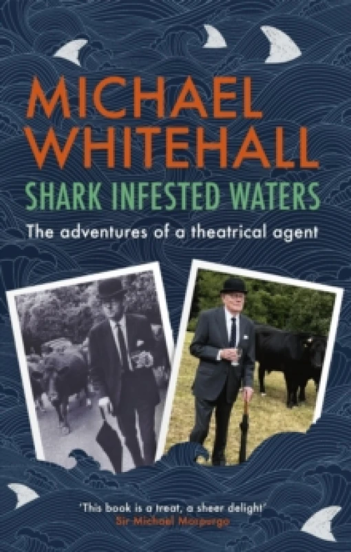 Image of Shark-Infested Waters Paperback / softback