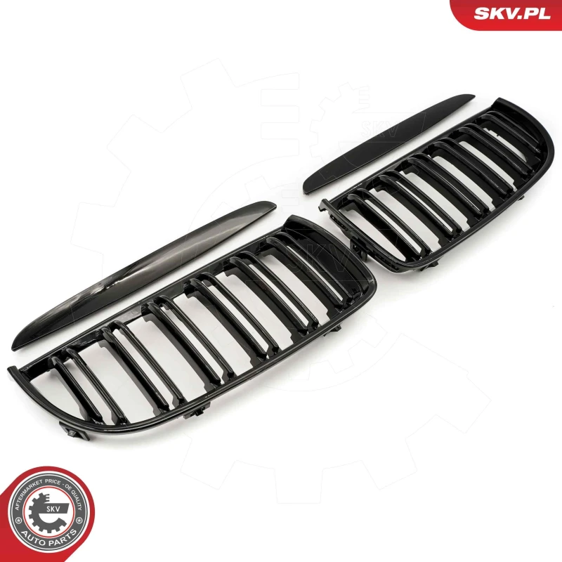 Image of ESEN SKV Radiator Grille ESEN SKV 66SKV089