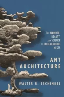 Image of Ant Architecture : The Wonder, Beauty, and Science of Underground Nests