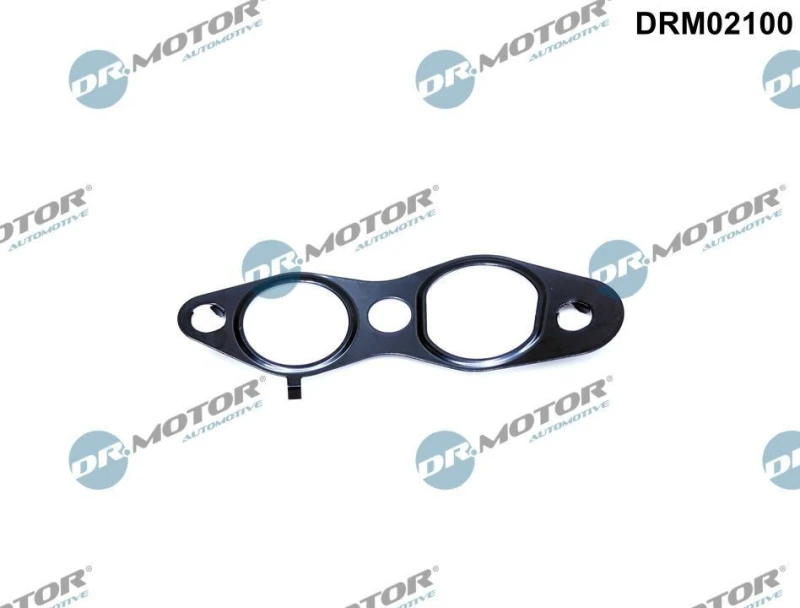 Image of DR.MOTOR AUTOMOTIVE EGR valve gasket DR.MOTOR AUTOMOTIVE DRM02100