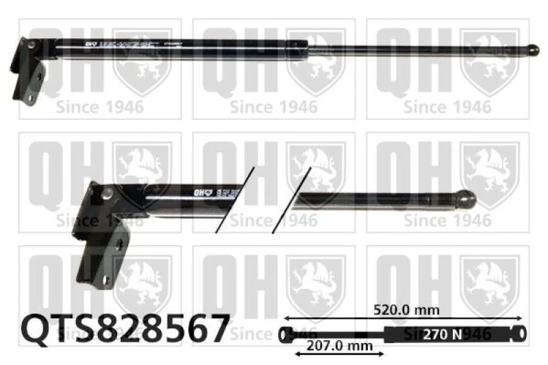Image of QUINTON HAZELL Tailgate strut QUINTON HAZELL QTS828567