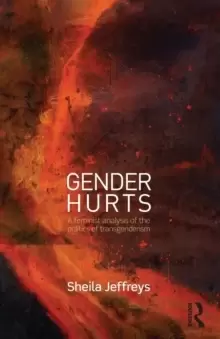 Image of Gender Hurts : A Feminist Analysis of the Politics of Transgenderism
