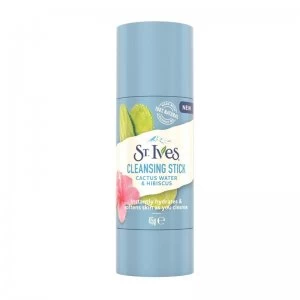 image of St Ives Cactus Water Cleansing Stick 45g