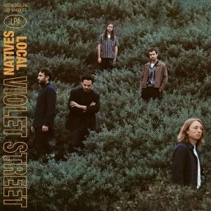 Image of Local Natives - Violet Street Vinyl