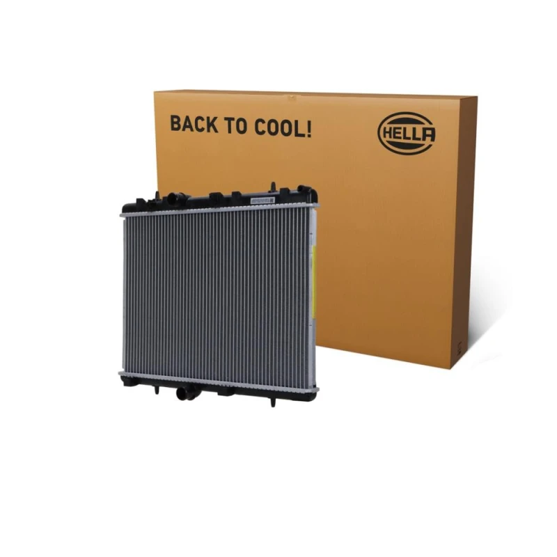 Image of HELLA Engine radiator HELLA 8MK 366 300-221