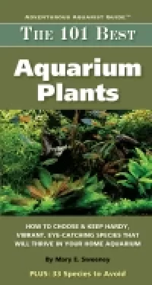 Image of 101 best aquarium plants how to choose hardy vibrant eye catching species t
