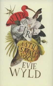 Image of After the Fire a Still Small Voice by Evie Wyld Hardback