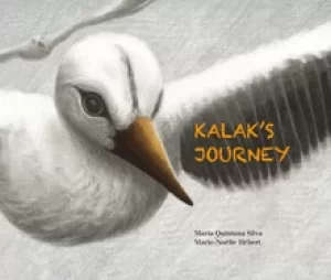 Image of kalaks journey