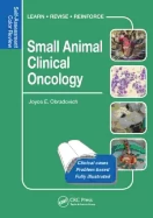 Image of small animal clinical oncology