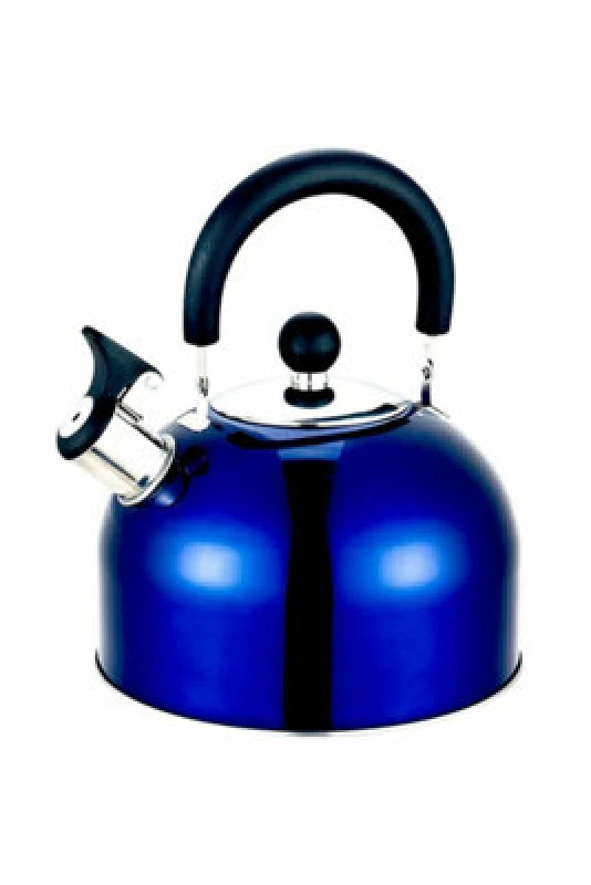 Image of Olpro 2 Litre Stainless Steel Whistling Kettle (Blue)