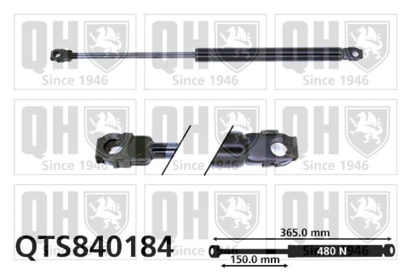 Image of QUINTON HAZELL Tailgate strut QUINTON HAZELL QTS840184