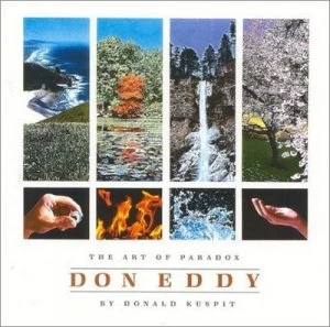 Image of Don Eddy by Donald B Kuspit Book