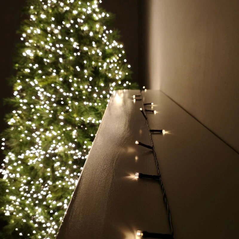Image of Samuel Alexander 24 LED 2.3m Premier Christmas Indoor Outdoor Multi Function Battery Operated String Lights with Timer in Warm White Beige