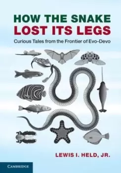 Image of How the snake lost its legs by Lewis I Held