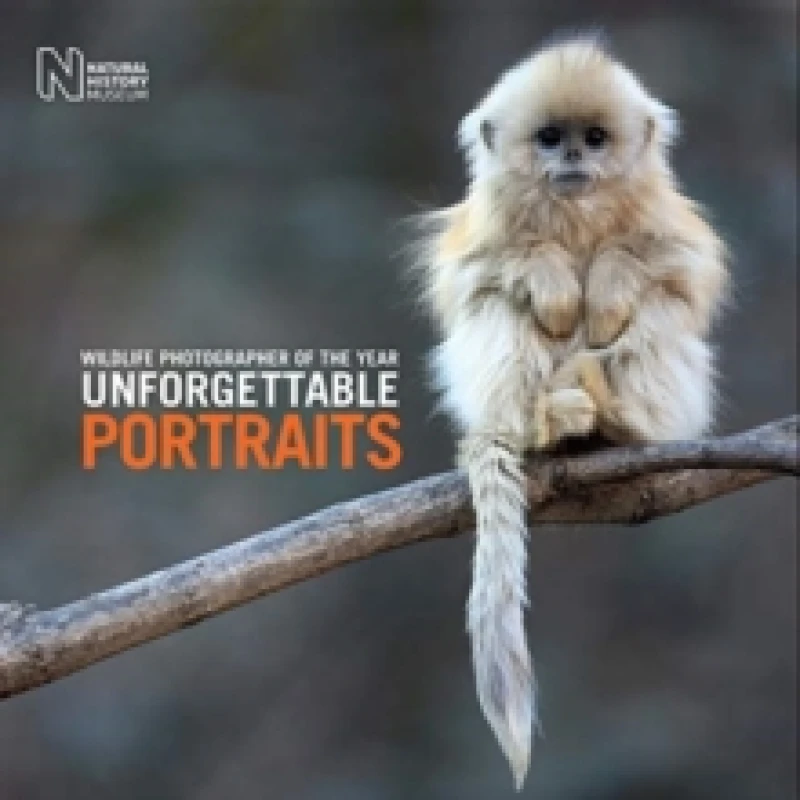 Image of Wildlife Photographer of the Year. Hardback. By Rosamund Kidman Cox Books