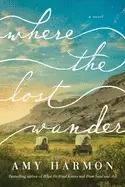 Image of where the lost wander a novel