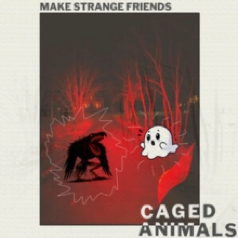 Image of Make strange friends Vinyl